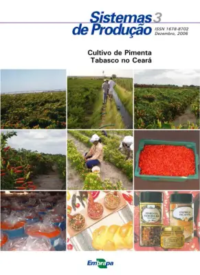 Cultivo de Pimenta Tabasco no Ceará