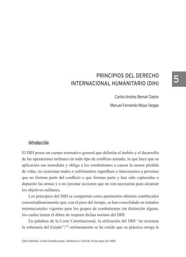 Principios del derecho internacional humanitario (DIH)