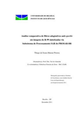 Análise Comparativa de Filtros Adaptativos Anti-Speckle em Imagens do R-99 Sintetizadas via Subsistema de Processamento SAR do PROSAR-BR