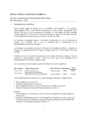 Notas a los Estados Financieros Pro Forma de Excel Capital Agente de Valores S.A.