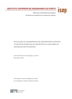 Otimização Energética na Indústria Química: Avaliação do Desempenho de Adsorventes Obtidos a Partir de Resíduos da Indústria de Curtumes