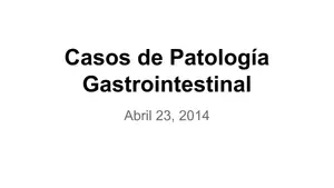 Casos de Patología Gastrointestinal. Abril 23, 2014