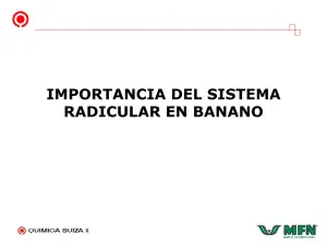 CIC del suelo: Mayor retención nutrientes