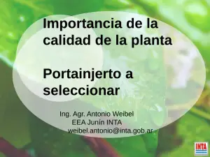 Portainjertos: Calidad y Selección