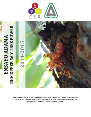 Control biológico del cáncer bacterial en cerezos