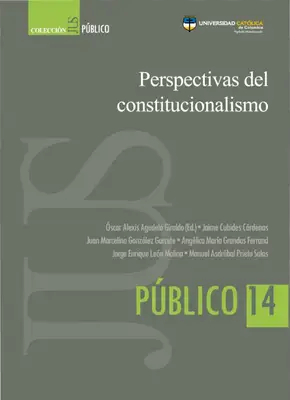 Constitucionalismo: Nuevas Perspectivas