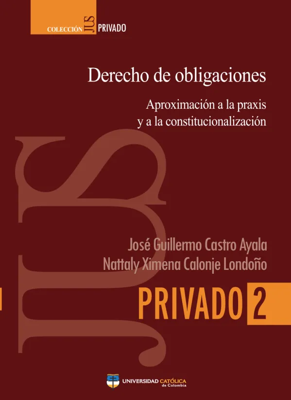Derecho de obligaciones : aproximación a la praxis y a la constitucionalización