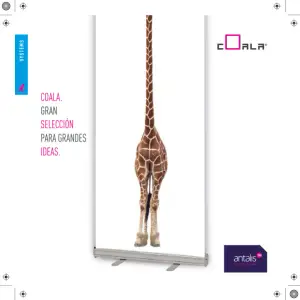 Displays Coala: Stands & Expositores