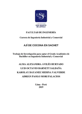 Ajicocona Sachet: Plan de Negocios