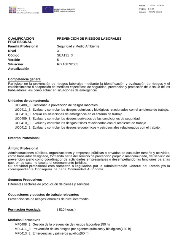 CUALIFICACIÓN PREVENCIÓN DE RIESGOS LABORALES PROFESIONAL. Nivel 3. Versión 5 Situación RD 1087/2005 Actualización