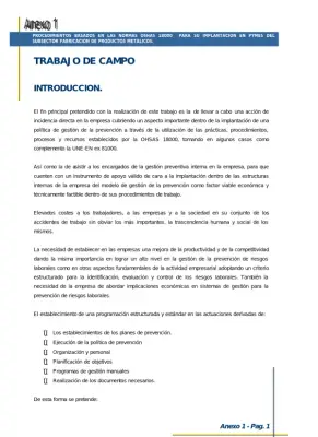 OHSAS 18000: Implantación en PYMES