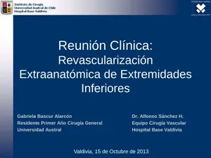 Revascularización Extremidades Inferiores