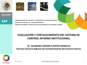 Control Interno Institucional: Guía 2011-2012
