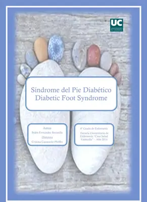 Pie diabético: Guía completa
