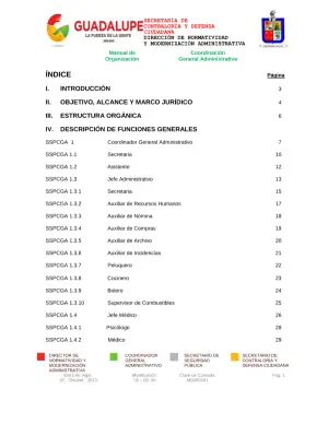 Manual de Organización SSPCGA